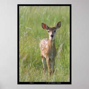 Affiche Photographie de la nature "Fawn 1" empreinte de ce