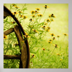 Affiche Photographie de la roue Black Eyed Susan et Wagon