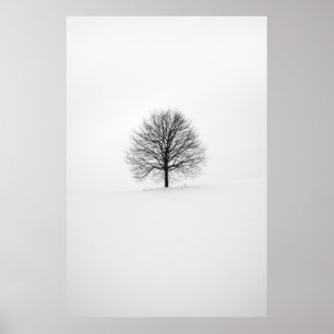 AFFICHE PHOTOGRAPHIE DE L'ARBRE