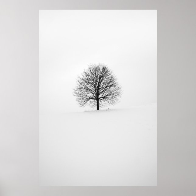 AFFICHE PHOTOGRAPHIE DE L'ARBRE (Devant)