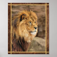 Photographie de Lion de Profil