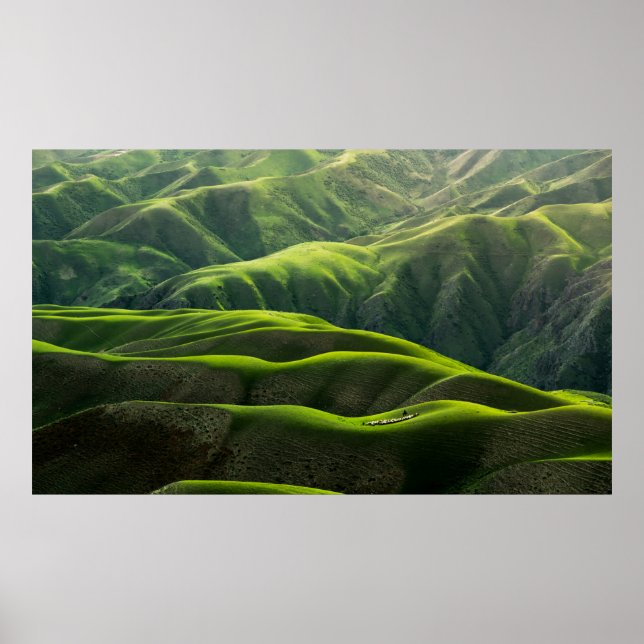 AFFICHE PHOTOGRAPHIE DE L'OISEAU DES MONTAGNES VERTES (Devant)