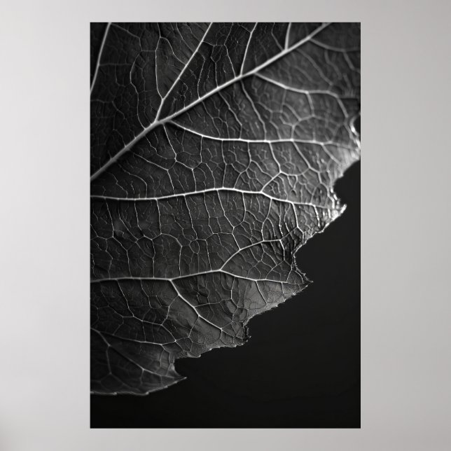 Affiche Photographie de Macro par Nathan Wirth - Fermer (Devant)
