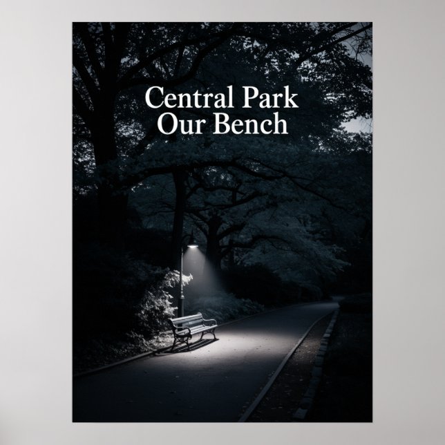Affiche Photographie de nuit de notre banc à Central Park (Devant)