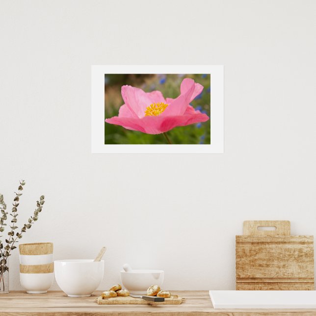 Affiche Photographie de Pavot Rose Simple en Gros Plan (Cuisine)