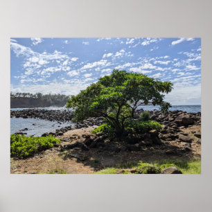 Affiche Photographie de paysage naturel hawaïen