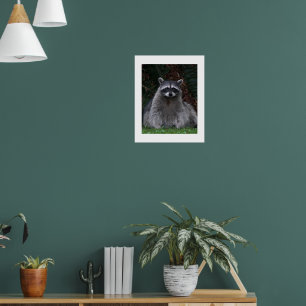 Affiche Photographie de Raton laveur mignon en forêt