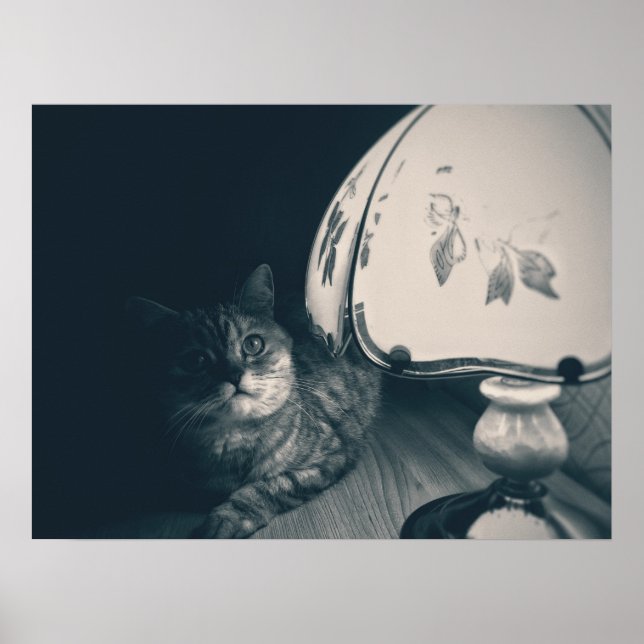 Affiche Photographie de style noir de chats et lampes (Devant)