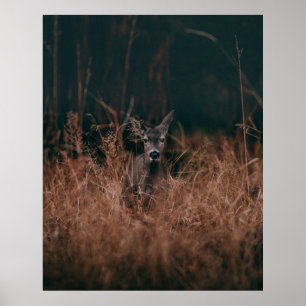 AFFICHE PHOTOGRAPHIE DE VIE SAUVAGE DE GRAY DEER ENTOURÉ P