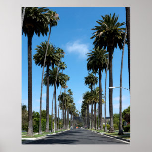 Affiche Photographie des palmiers de Californie