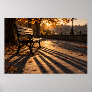 Affiche Photographie d'ombre de banc de parc d'automne