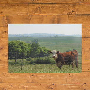 Affiche Photographie du Midwest   Belle vache et paysage