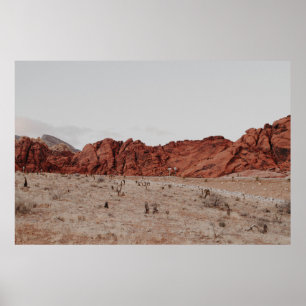 AFFICHE PHOTOGRAPHIE DU PAYSAGE DE LA MONTAGNE