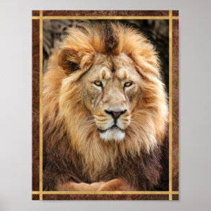 Affiche Photographie du Roi Lion