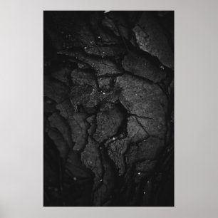 Affiche Photographie en niveaux de gris de la formation de
