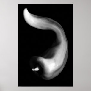 Affiche Photographie en noir et blanc de poivre courbe de