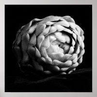 Photographie en noir et blanc d'un gros plan d'art