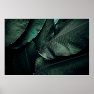 AFFICHE PHOTOGRAPHIE FEUILLE VERTE