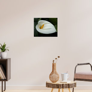 Affiche Photographie florale blanche de Calla Lily
