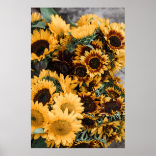AFFICHE PHOTOGRAPHIE MACRO DES SOUFFRES JAUNES