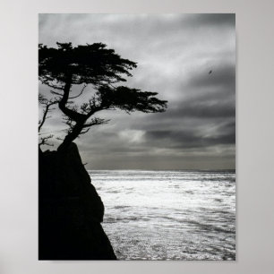 Affiche Photographie nature noir et blanc