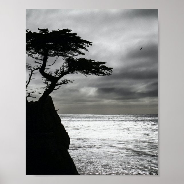 Affiche Photographie nature noir et blanc (Devant)