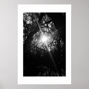 Affiche Photographie noir et blanc de Hawaii
