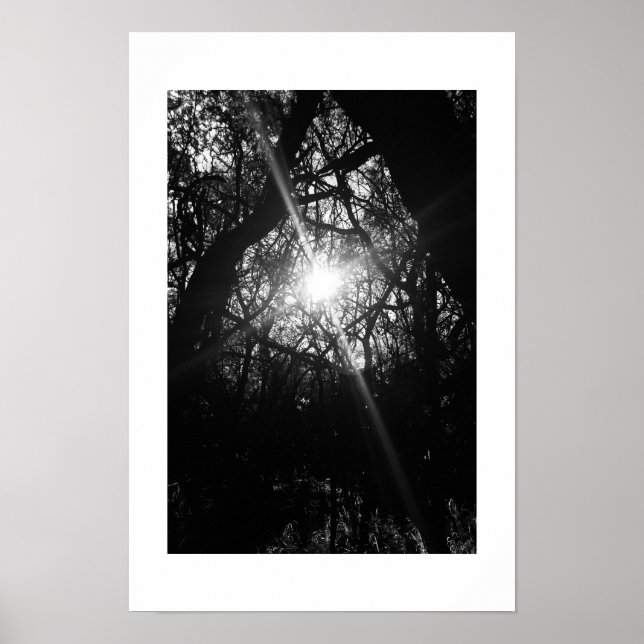 Affiche Photographie noir et blanc de Hawaii (Devant)