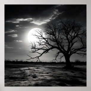 Affiche Photographie noir et blanc paysage lune