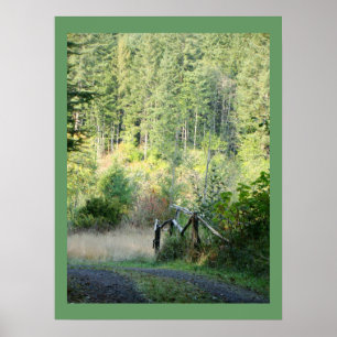 Affiche Photographie pittoresque de pays d'arbres