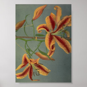 Affiche Photographie vintage