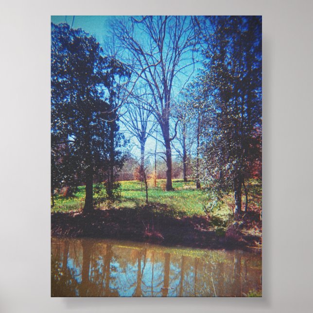 Affiche Photographie vintage du lac Daffodil (Devant)