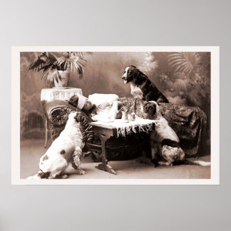 Affiche Photographie vintage Hangover avec Chiens