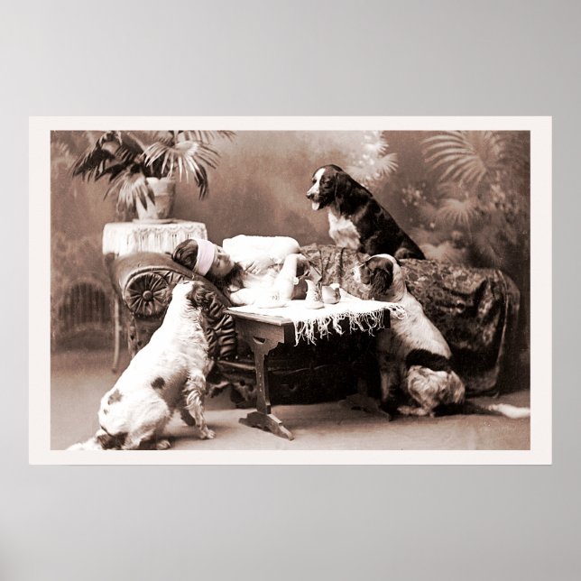 Affiche Photographie vintage Hangover avec Chiens (Devant)