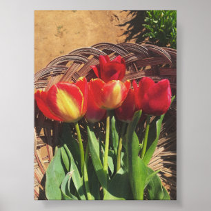 Affiche Photographie vintage - Panier de ferme de tulipes