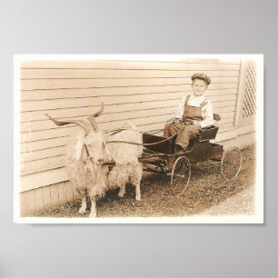 Affiche Photographies précoces des enfants, article 05