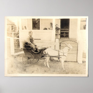 Affiche Photographies précoces des enfants, point 04