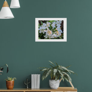 Affiche photographique florale de lys blancs en fl