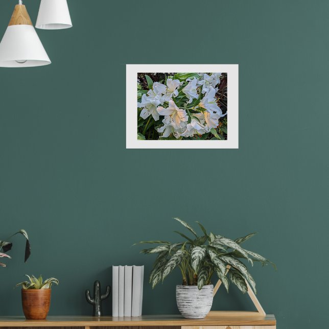 Affiche photographique florale de lys blancs en fl (Salon 1)