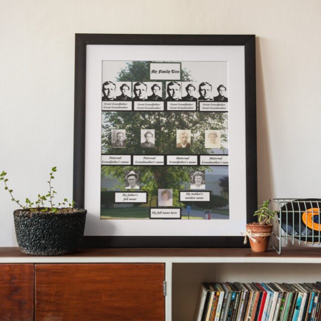 Affiche Photos d'arbre de famille de l'orme d'été de quatr (Créateur téléchargé)