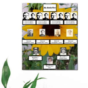 Affiche Photos de l'arbre généalogique tournesol de quatre