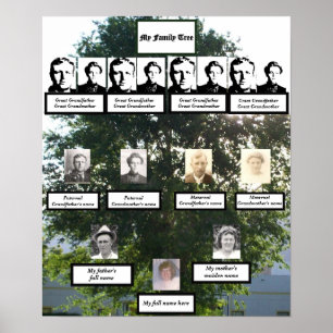 Affiche Photos d'été de la famille Elm de quatre génératio
