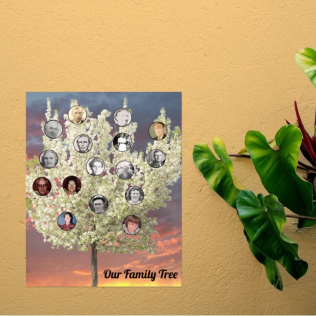 Affiche Photos rondes avec arbre en fleurs blanc et couche (Créateur téléchargé)