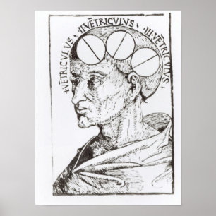 Affiche Phrenology