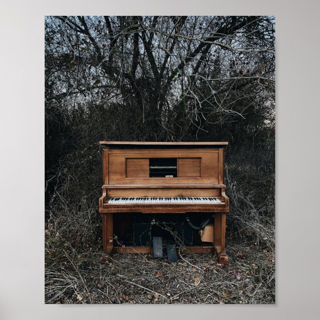 Affiche Piano gentil (Devant)