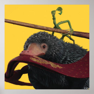 Affiche Pickett & Teddy avec baguette et Cravate