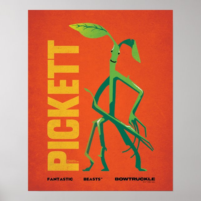 Affiche Pickett Vintage Graphic (Devant)