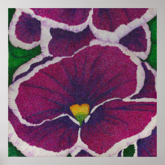Affiche Picottee Pansy