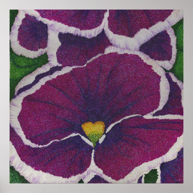 Affiche Picottee Pansy (Devant)