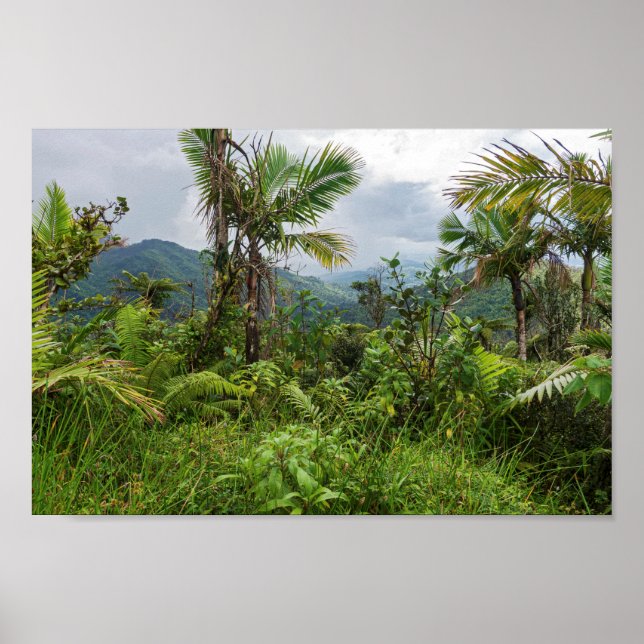 Affiche Pics et vallées d'el yunque (Devant)